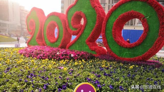 简阳市沱江大桥东桥头“景观绿化”初见雏形（实拍）