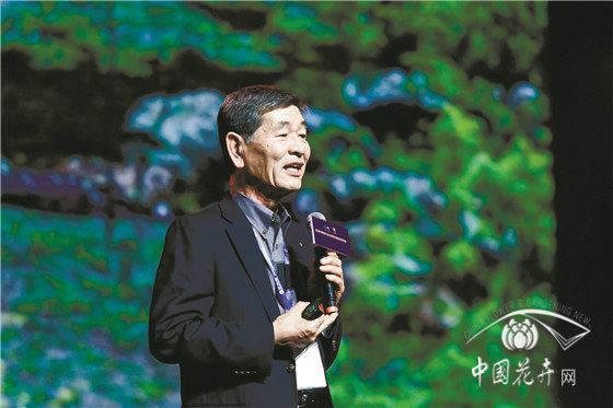 顶尖的造园师在“炫”什么？