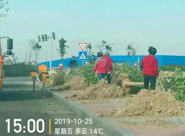 园林绿化|打造美丽城市景观