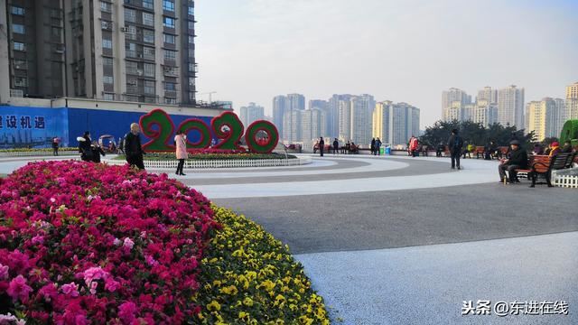 简阳市沱江大桥东桥头“景观绿化”初见雏形（实拍）