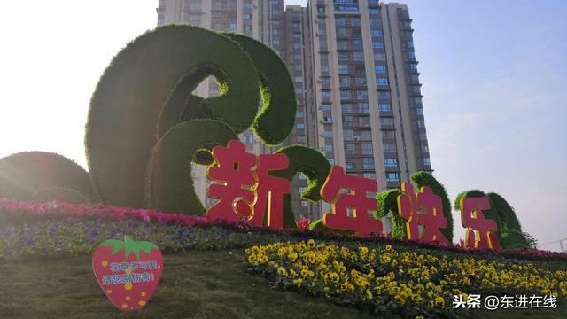 简阳市沱江大桥东桥头“景观绿化”初见雏形（实拍）