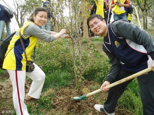 小区园林绿化的4大种植技术