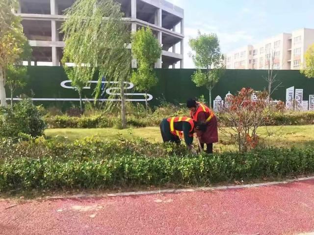 园林绿化|打造美丽城市景观