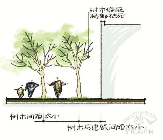 种树要避开这些“坑”（上） 