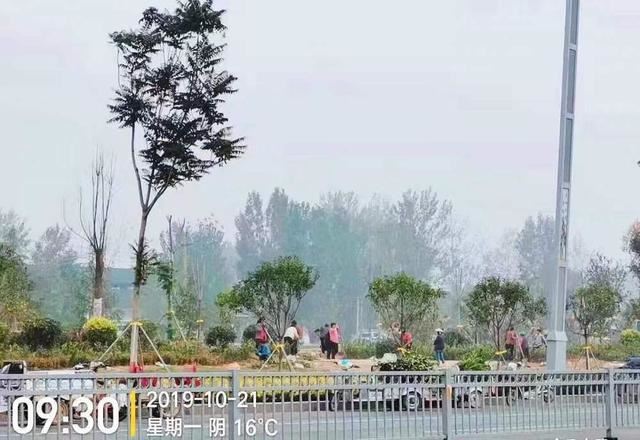 园林绿化|打造美丽城市景观