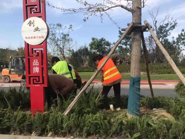 园林绿化|打造美丽城市景观