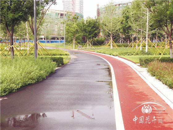 山水相依水绿交融的市政景观 记河北省石家庄市正定新区中心湖项目