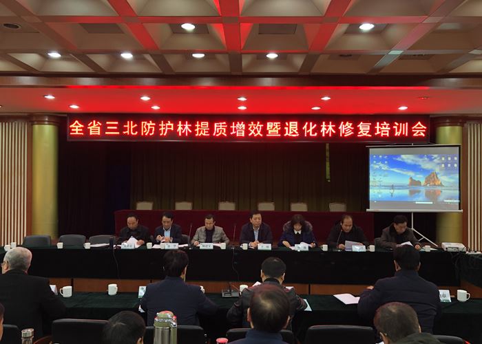 陕西省三北防护林提质增效暨退化林修复工程培训会在咸阳市召开
