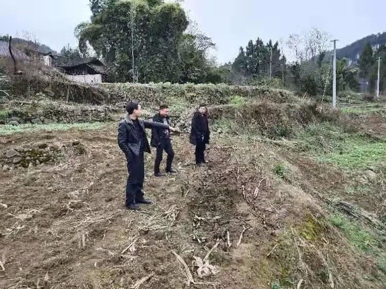 凤冈安排部署"世界湿地日"暨义务植树活动