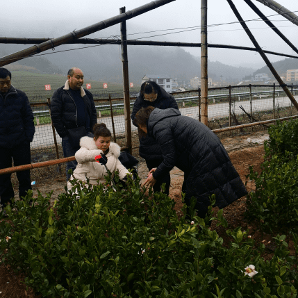贵州岑巩县油茶良种繁育项目顺利通过州级验收