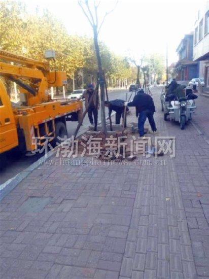 加强冬季养护管理 确保绿化苗木安全越冬