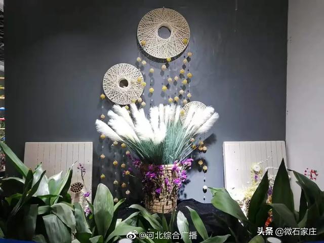 石家庄植物园新春花展除夕正式启幕
