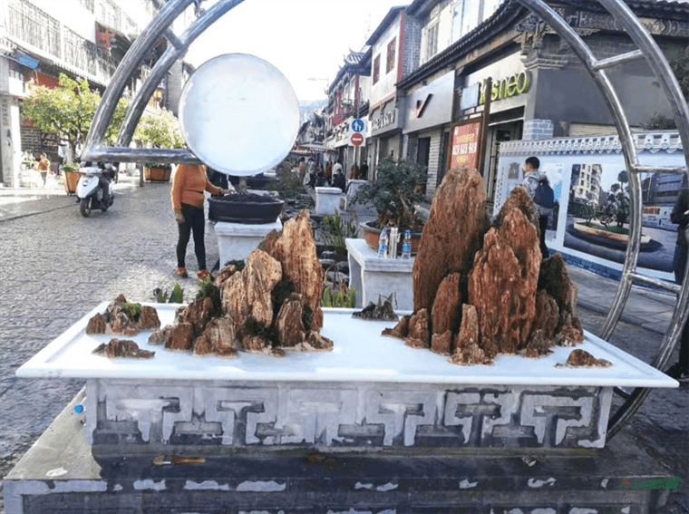 云南通海县打造盆景艺术主题街区