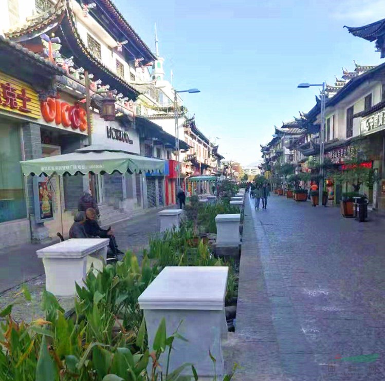 云南通海县打造盆景艺术主题街区