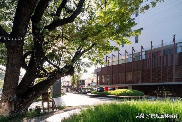泰国清迈思绪公园 / Shma Company Limited