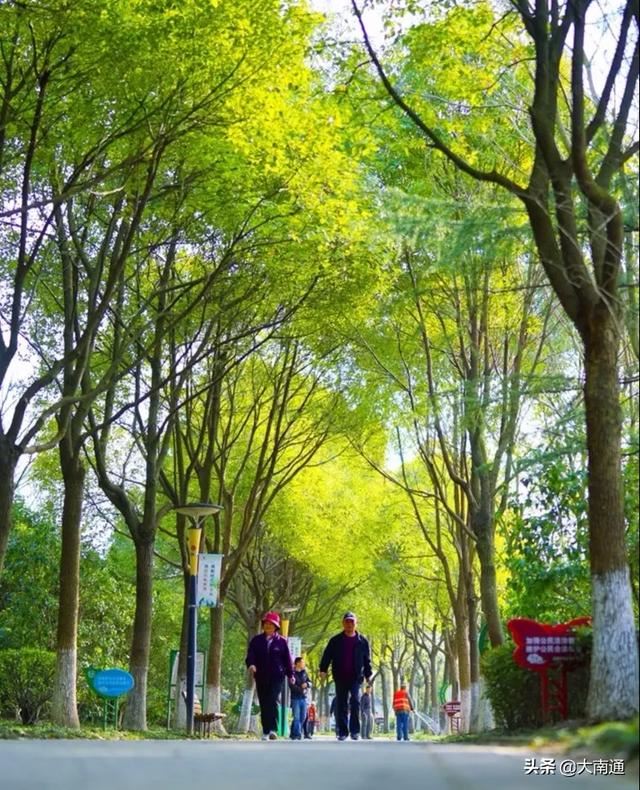 你好，请叫启东“国家园林城市”