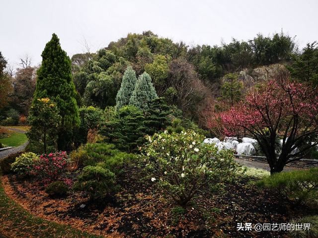 中国花园景观离世界级水准还有多远
