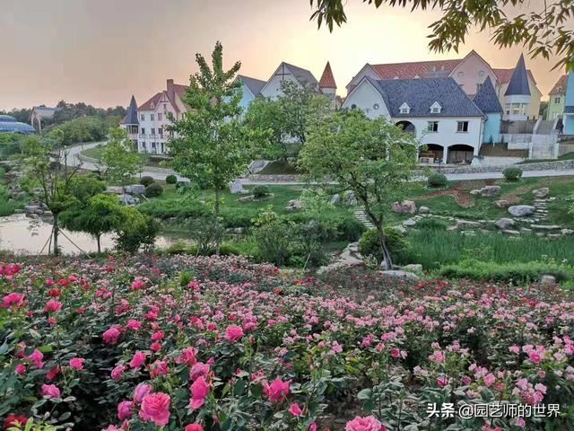 中国花园景观离世界级水准还有多远