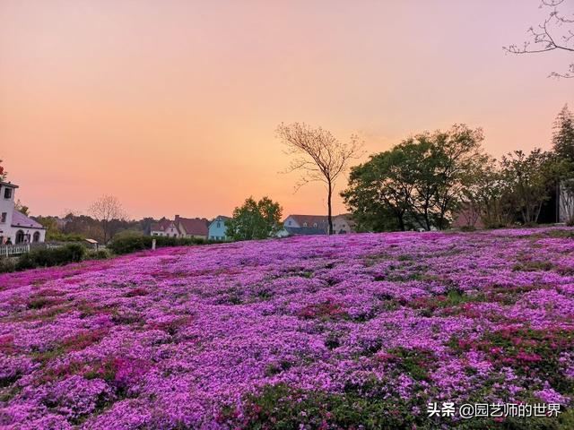 中国花园景观离世界级水准还有多远