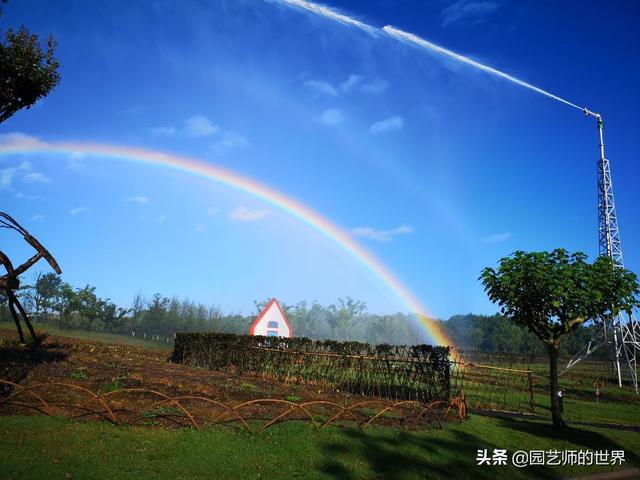 中国花园景观离世界级水准还有多远