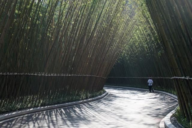 如何做好“景观路”？