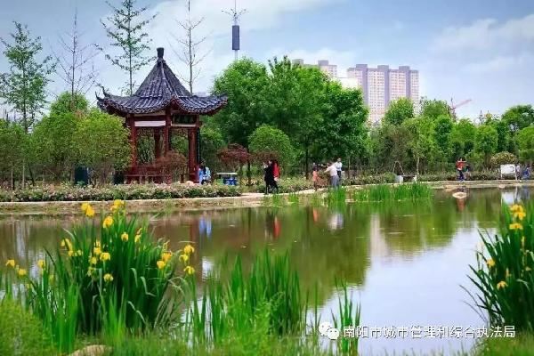 《南阳市城市绿化条例实施细则》颁布！300米见绿、500米见园