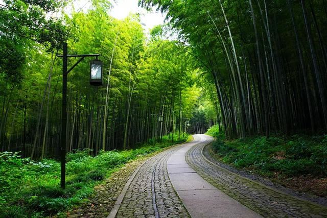 如何做好“景观路”？