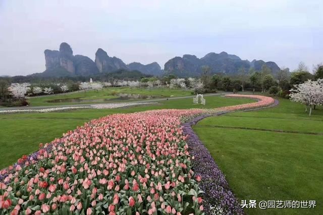 中国花园景观离世界级水准还有多远
