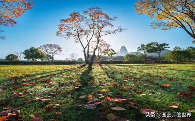 中国花园景观离世界级水准还有多远