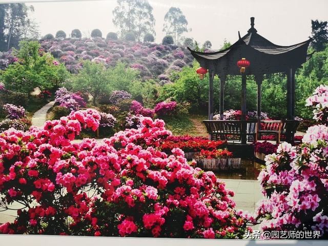 中国花园景观离世界级水准还有多远