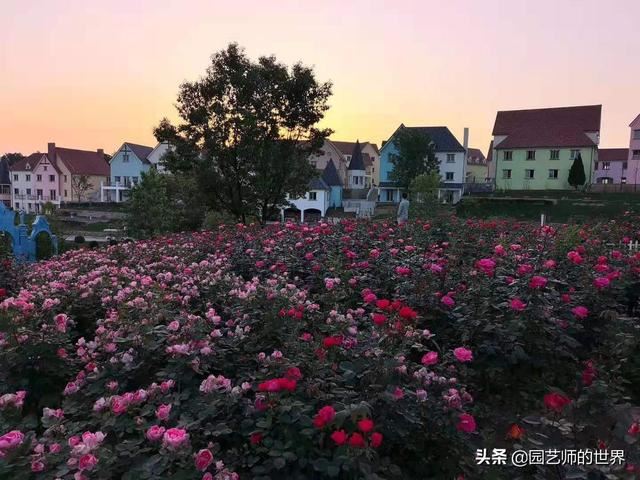 中国花园景观离世界级水准还有多远