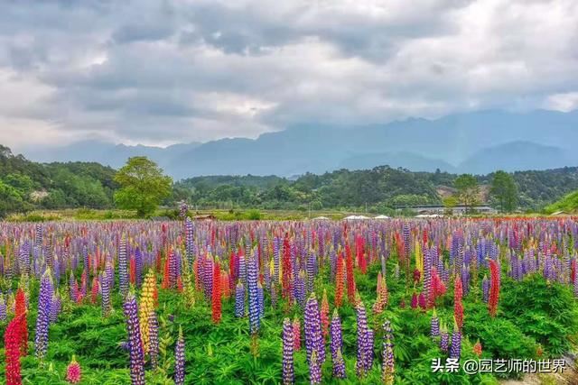 中国花园景观离世界级水准还有多远