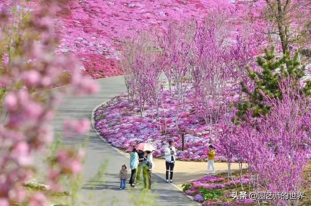 中国花园景观离世界级水准还有多远