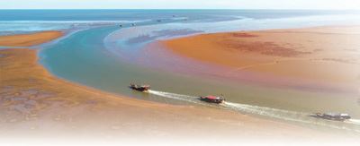 东流入海　悬河安澜写新篇