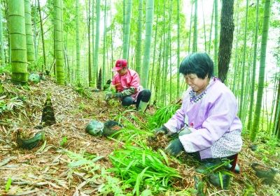 福建：奋进新时代　逐绿新征程