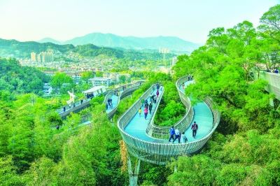 福建：奋进新时代　逐绿新征程