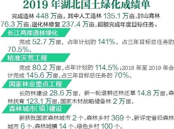 湖北省去年完成造林绿化448万亩——看！湖北更绿更美了