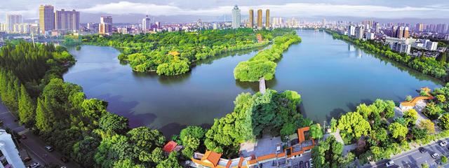 湖北省去年完成造林绿化448万亩——看！湖北更绿更美了