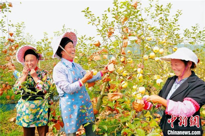 贵州：让绿水青山成“幸福不动产”“绿色提款机”