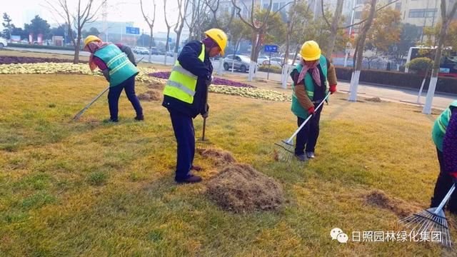 新年倒计时——营造节日好氛围，日照城市绿化不松懈