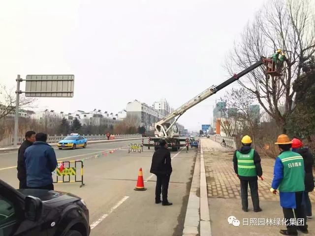 新年倒计时——营造节日好氛围，日照城市绿化不松懈