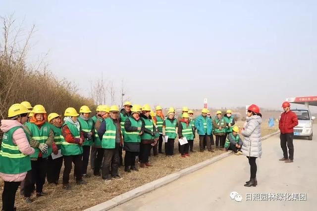 新年倒计时——营造节日好氛围，日照城市绿化不松懈