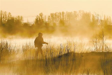 [野生动植物]甘肃民勤红崖山水库：生态优美　百鸟翔集
