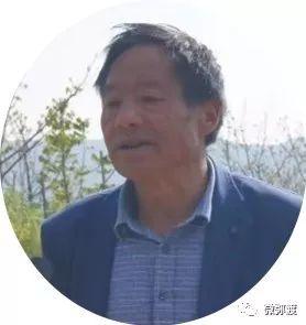 曾经毁林开荒，如今变成一个拥有26000亩华山松的村庄