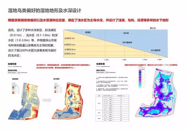 案例：高原湖泊湿地的生态恢复实践 -保山市青华海湿地恢复