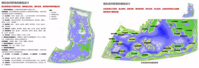 案例：高原湖泊湿地的生态恢复实践 -保山市青华海湿地恢复