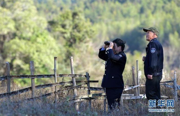 [最美林业故事]一座山，一辈子——走进赣江源