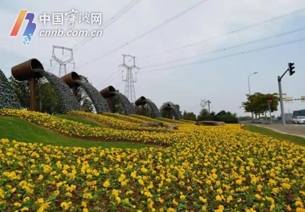 宁波绿地养护年度“红黑榜”出炉 这10块最优绿地你去过吗？