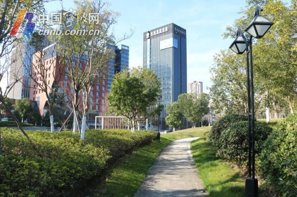 宁波绿地养护年度“红黑榜”出炉 这10块最优绿地你去过吗？