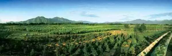 有图有真相！北京五大风沙危害区，如今绿荫全覆盖